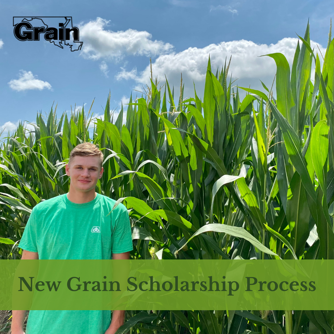 New Grain Scholarship Process – Maryland Grain Producers